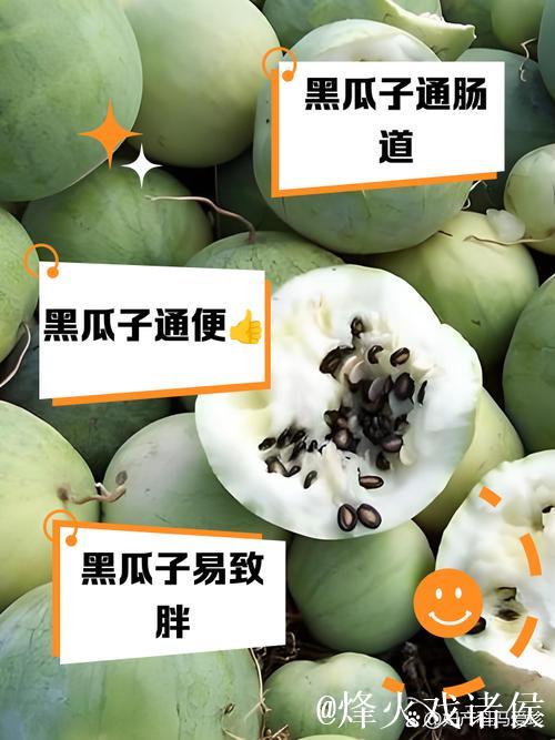 黑瓜吃料官网教你健康饮食秘诀