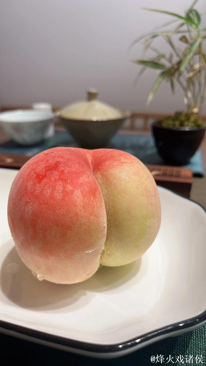 91蜜桃视频 91蜜桃视频